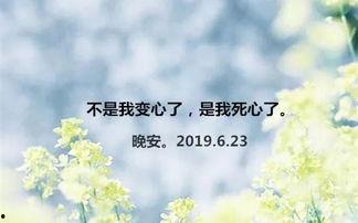 天放晴我放手,放手新生的美好时刻