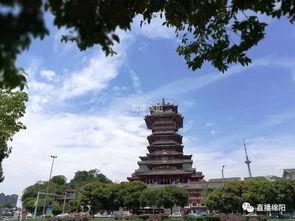 172天,见证成长与蜕变