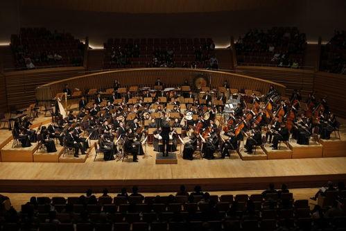 逆转管弦乐团,揭秘逆转管弦乐团的奇幻之旅