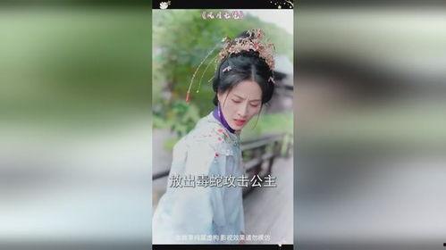 风月无凭,探寻时光流转中的情感轨迹