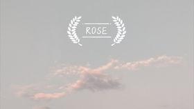 五年深情终成殇（五年深情终成空）,一段刻骨铭心的爱情悲剧