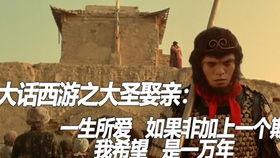 五年深情终成殇（五年深情终成空）,一段刻骨铭心的爱情悲剧