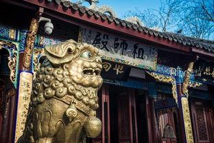 道观倒闭道姑下山要团圆,道观倒闭背后的尘世情缘