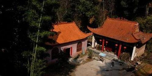 道观倒闭道姑下山要团圆,道观倒闭背后的尘世情缘