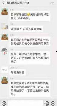 家庭群曝光后我杀疯了,揭秘“我杀疯了”背后的真相与反思